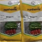 بذر هندوانه میراژ در گروه خرید و فروش بذر هندوانه در یکمیوه