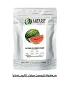 بذر هندوانه کریمسون سوئیت آنتاریس فروش در اهواز در گروه خرید و فروش بذر هندوانه در یکمیوه