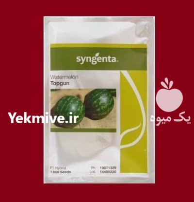 فروش بذر هندوانه Top Gun F 1 در اهواز در گروه خرید و فروش بذر هندوانه در یکمیوه -عکس1