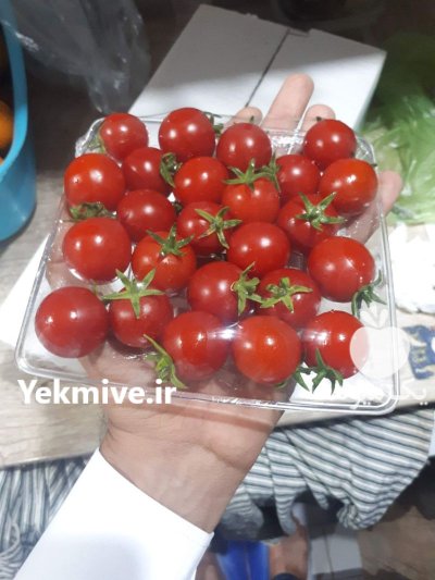 فروش گوجه گیلاسی و زیتونی در گروه خرید و فروش گوجه فرنگی در یکمیوه -عکس4