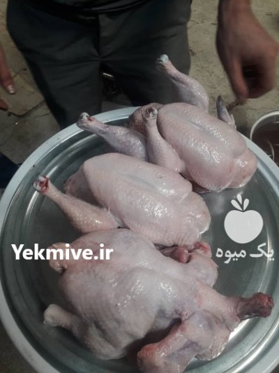 دستگاه پرکن مرغ و سایر طیور در کرج در گروه تجهیزات مرغداری در یکمیوه -عکس2