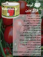 بذر گوجه فرنگی متین در کرمان  در گروه خرید و فروش بذر گوجه در یکمیوه