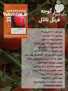 بذر گوجه فرنگی ناتالی در اصفهان در گروه خرید و فروش بذر گوجه در یکمیوه