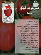 بذر گوجه فرنگی سما در اصفهان در گروه خرید و فروش بذر گوجه در یکمیوه