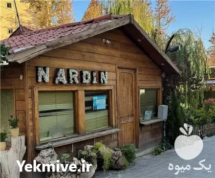 قیمت خرید گل و گیاه آپارتمانی در گروه خرید و فروش گیاهان زینتی در یکمیوه -عکس1