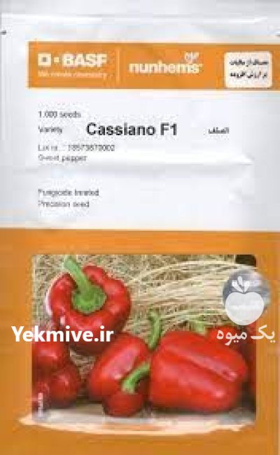 بذر فلفل دلمه قرمز کاسیانو در اصفهان در گروه خرید و فروش بذر فلفل در یکمیوه -عکس1