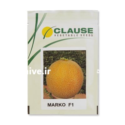 بذر ملون گالیا در بوشهر در گروه خرید و فروش بذر ملون در یکمیوه -عکس1