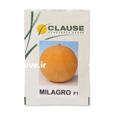 بذر ملون گالیا در کرمان  در گروه خرید و فروش بذر خربزه در یکمیوه -عکس1