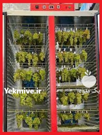 خشک کن سبزی و میوه در بهشهر در گروه خرید و فروش دستگاه میوه خشک در یکمیوه -عکس2