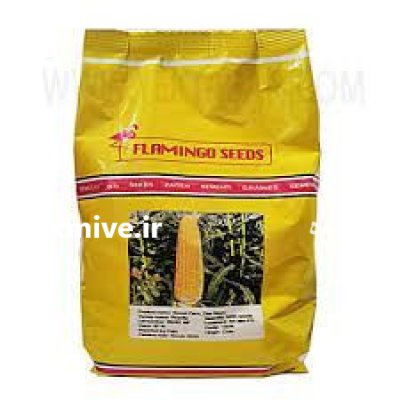 بذر ذرت شیرین رویال تی در بیرجند در گروه خرید و فروش بذر ذرت در یکمیوه -عکس1