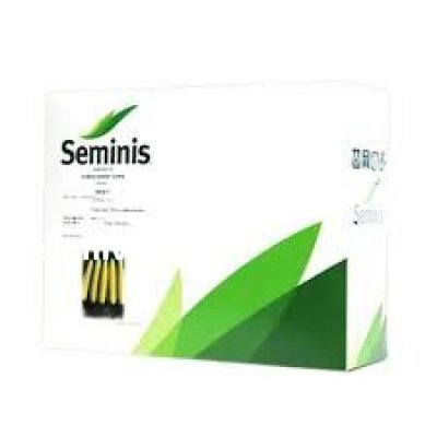 بذر ذرت مریت در مشهد در گروه خرید و فروش بذر ذرت در یکمیوه -عکس1