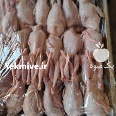 دستگاه پرکن درجه یک بلدرچین شرکت در گروه تجهیزات مرغداری در یکمیوه -عکس3