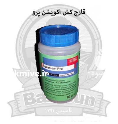 قارچ کش اکویشن پرو در اصفهان در گروه خرید و فروش انواع سم در یکمیوه -عکس1