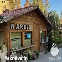 قیمت خرید گل و گیاه آپارتمانی در گروه خرید و فروش گیاهان زینتی در یکمیوه