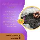کود زمستانی هیومیک گرانول در زنجان در گروه خرید و فروش انواع کود کشاورزی در یکمیوه