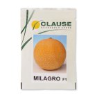 بذر ملون گالیا در کرمان  در گروه خرید و فروش بذر خربزه در یکمیوه