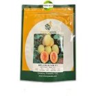 بذر خربزه آناناسی آلوین در اهواز در گروه خرید و فروش بذر خربزه در یکمیوه