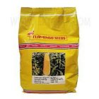 بذر ذرت رویال تی در تهران در گروه خرید و فروش بذر ذرت در یکمیوه