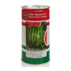 بذر هندوانه اسکارلت در اصفهان در گروه خرید و فروش بذر هندوانه در یکمیوه