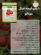 بذر گوجه فرنگی موناکو در گروه خرید و فروش بذر گوجه در یکمیوه