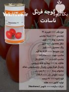 بذر گوجه فرنگی ناسادت در اصفهان در گروه خرید و فروش بذر گوجه در یکمیوه