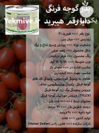 بذر گوجه فرنگی دایا رقم هیبرید در گروه خرید و فروش بذر گوجه در یکمیوه