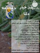 بذر خیار دلتا در اصفهان در گروه خرید و فروش بذر خیار در یکمیوه