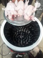 دستگاه پرکن طیور پرقدرت دارای جنس در گروه تجهیزات مرغداری در یکمیوه