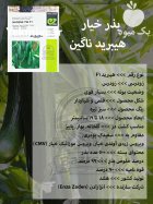بذر خیار هیبرید ناگین در اصفهان در گروه خرید و فروش بذر خیار در یکمیوه