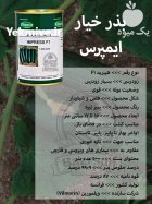 بذر خیار ایمپرس در اصفهان در گروه خرید و فروش بذر خیار در یکمیوه