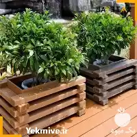 فروش فلاور باکس ترموود درجه یک در تهران در گروه خرید و فروش گلدان در یکمیوه