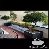 قیمت خرید تولید فلاور باکس در تهران در گروه خرید و فروش گلدان در یکمیوه