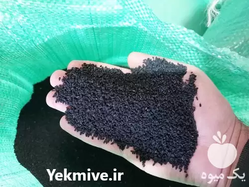 قیمت فروش سیاه دانه بصورت عمده در گروه خرید و فروش دانه های روغنی در یکمیوه -عکس1