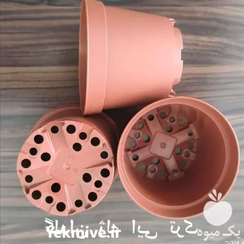 قیمت خرید گلدان ژله ای در گروه خرید و فروش گلدان در یکمیوه -عکس1