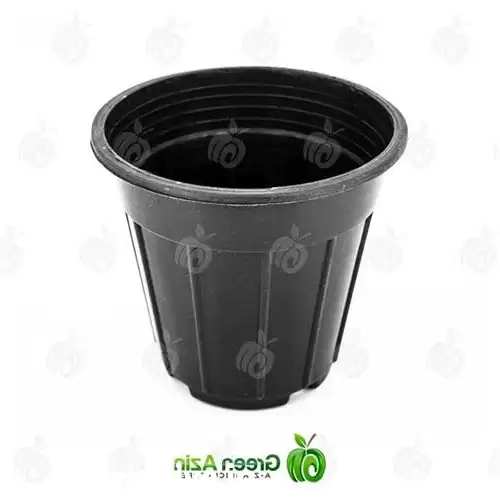 قیمت خرید تولید عرضه گلدان پلاستیکی در سمنان در گروه خرید و فروش گلدان در یکمیوه -عکس1