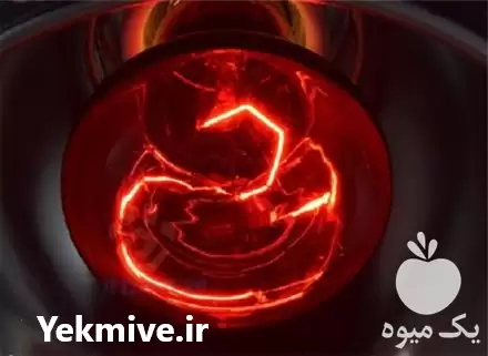 قیمت خرید لامپ مناسب پرورش حیوانات در اصفهان در گروه خرید و فروش لامپ رشد در یکمیوه -عکس1