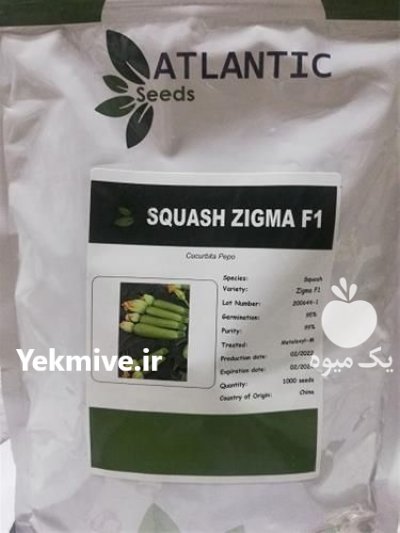 فروش بذر کدو هیبرید زیگما در گروه خرید و فروش بذر کدو در یکمیوه -عکس1