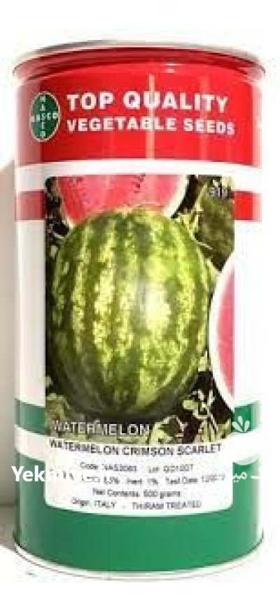 بذر هندوانه اسکارلت در زابل  در گروه خرید و فروش بذر هندوانه در یکمیوه -عکس1