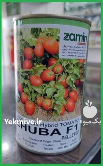 فروش بذر گوجه فرنگی زودرس ژوبا در گرگان در گروه خرید و فروش بذر هندوانه در یکمیوه -عکس1