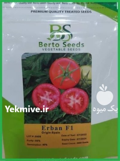 فروش بذر گوجه فرنگی اربان در گرگان در گروه خرید و فروش بذر گوجه در یکمیوه -عکس1