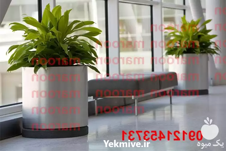 قیمت خرید گلدان استیل در گروه خرید و فروش گلدان در یکمیوه -عکس1