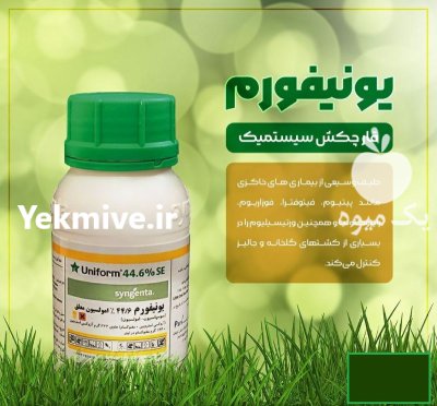 فروش سم قارچ کش Uniform سینجینتا در گرگان در گروه خرید و فروش انواع سم در یکمیوه -عکس1