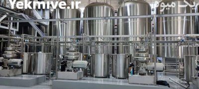قیمت خرید خط تولید مخمر خشک در گروه خرید و فروش خط تولید در یکمیوه -عکس3