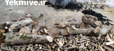 چوب مرکبات پرتقال برش خورده در مشهد در گروه خرید و فروش چوب مرکبات در یکمیوه -عکس1