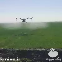 پهپاد سمپاش کشاورزی در مال خلیفه در گروه خدمات باغبانی در یکمیوه