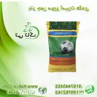 فروش خرید قیمت بذر چمن تخم در گرگان در گروه خرید و فروش بذر چمن در یکمیوه