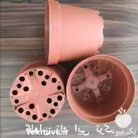 قیمت خرید گلدان ژله ای در گروه خرید و فروش گلدان در یکمیوه