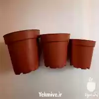 قیمت خرید گلدان ژله ای در گروه خرید و فروش گلدان در یکمیوه