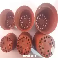 فروش گلدان ژله ای سایز در تهران در گروه خرید و فروش گلدان در یکمیوه