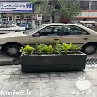 فروش قیمت گلدان بتنی در تهران در گروه خرید و فروش گلدان در یکمیوه